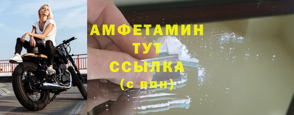 стаф Козловка