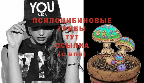 a pvp Киренск