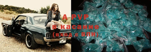 стаф Касимов