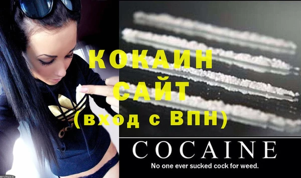 стаф Касимов