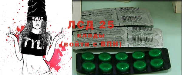 стаф Козловка