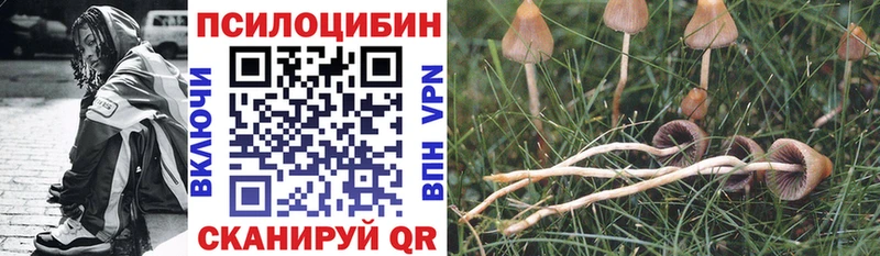 Галлюциногенные грибы Psilocybe  Кириллов 