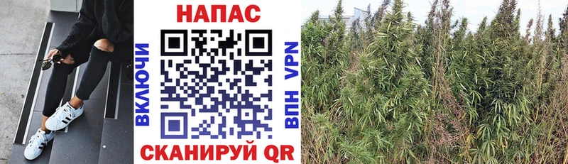 Бошки Шишки Ganja  МЕГА как войти  Кириллов 
